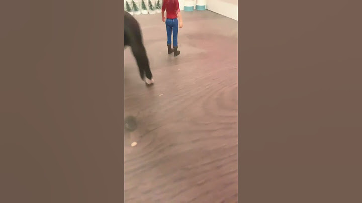 Pov sun ridaope kun hevonen lähtee #funny