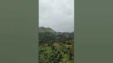 إن الله اصطفى آدم ونوحا وآل إبراهيم وآل عمران على العالمي سورة آل عمران الشيخ ماهر المعيقلي 