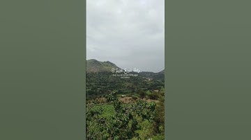 إن الله اصطفى آدم ونوحا وآل إبراهيم وآل عمران على العالمي /سورة آل عمران |الشيخ ماهر المعيقلي