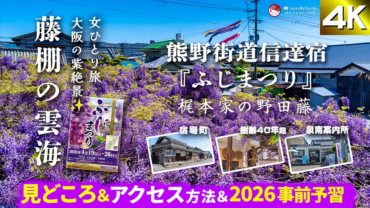 d*7様 【希少/開封済み/1BOX】LOVELESS 藤紫 トレーディングカー 4K] The Noda Wisteria at the Kajimoto | 2026 Fuji Festival at