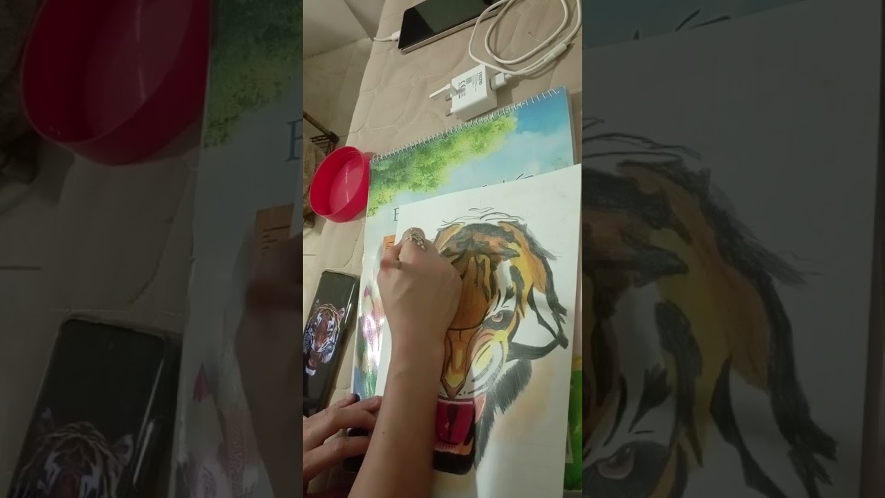 Tiger 🐅 drawing 