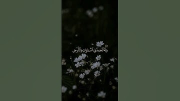 القرآن الكريم 🤎 ✨