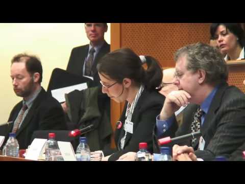 Becky Hogge: Speech at Sound Copyright conference in the EU Parliament 27.01.09 (part 1)
