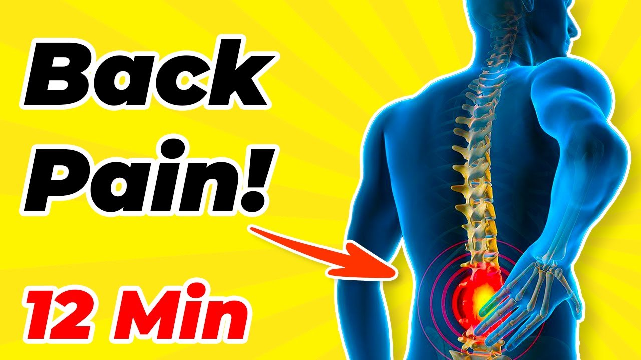 12-min BACK PAIN EXERCISES FOR SENIORS Easy Routines for Relief - YouTube