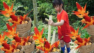 6-YEAR-OLD DIEU NGAN IS AN ORPHAN OF HER PARENTS,30 days of life alone with a puppy in the forest