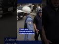 Bear captured after roaming Japan streets | DW News
