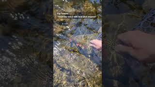 Fly Fishers Vs. Cpw