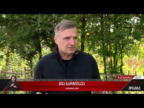 წალენჯიხის მუნიციპალიტეტის მერის მანქანა დაიწვა