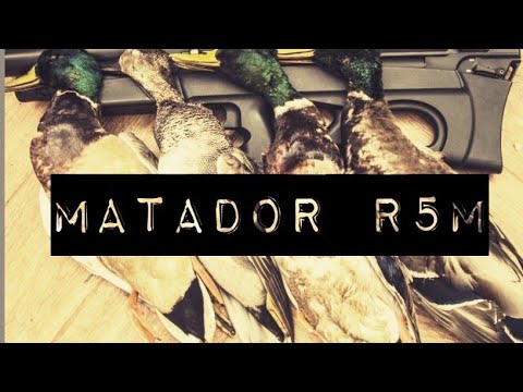 Vidéo: 5 Membres De Matador Se Rencontrent Maintenant: L'édition WWOOFers - Réseau Matador