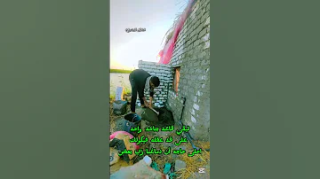 أنا يلا راجل مليش في الحالةعقبال باقي الرجاله عدنان المصري 