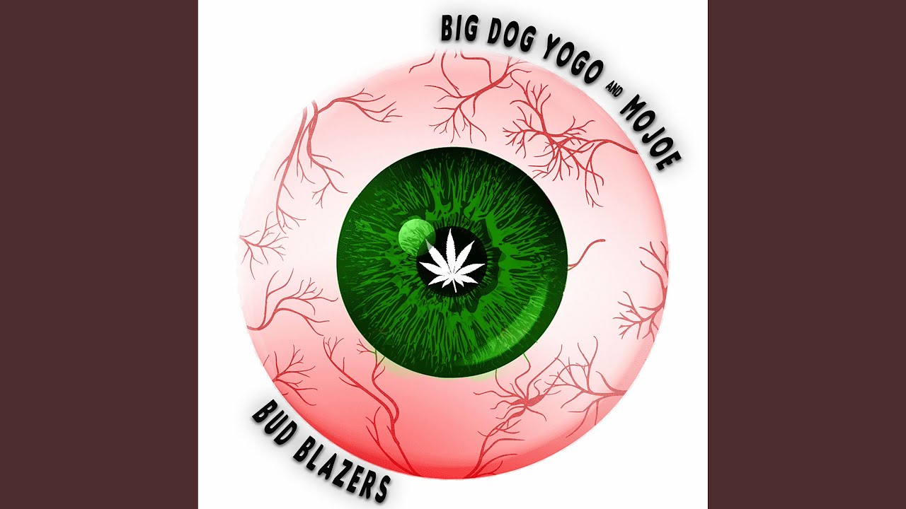 Big Dog Yogo - Stoner Chick [Lyric Video] #WithMe 