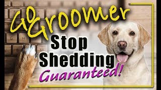 How to stop your dogs from sheddingguaranteed.