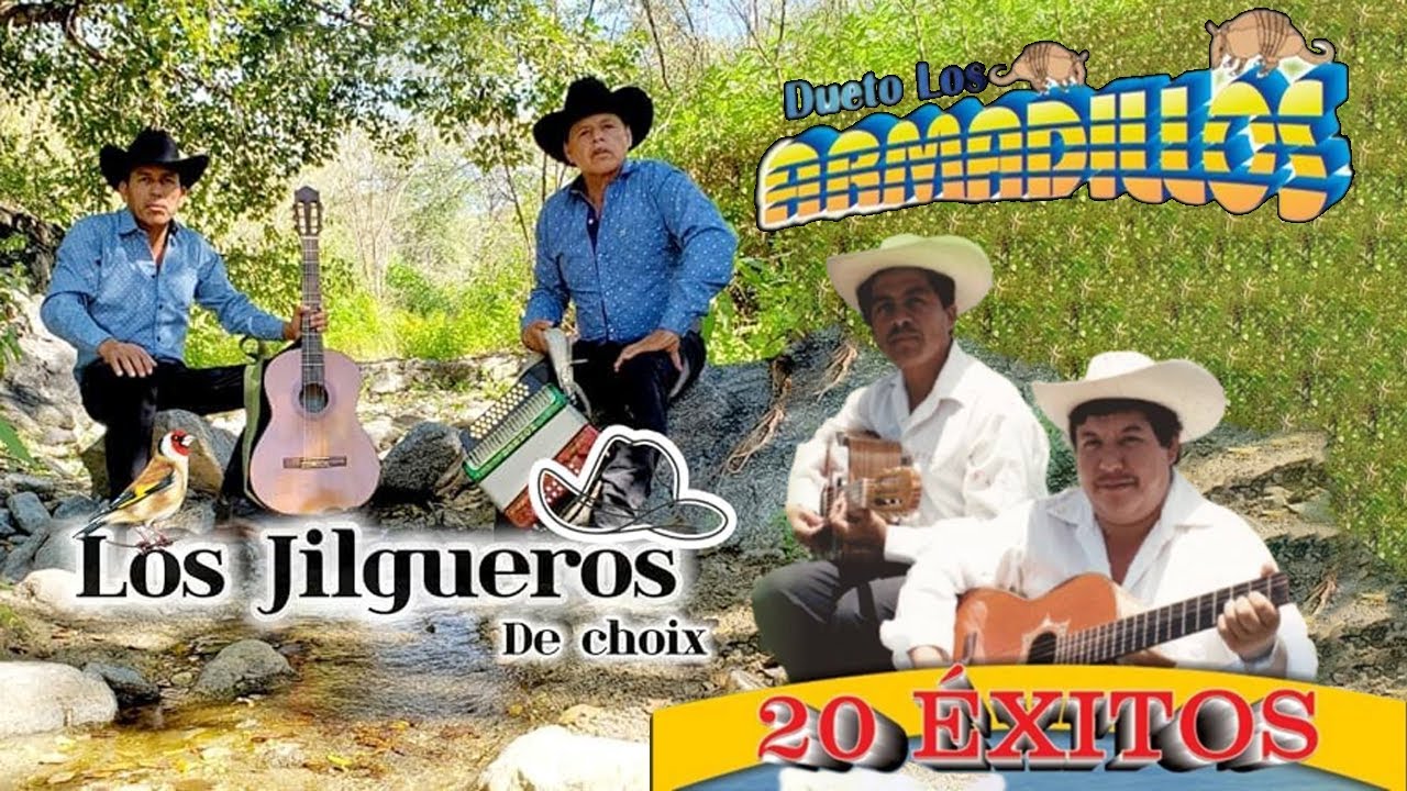 Dueto Los Armadillos, Los Jilgueros de Choix Mix Para Bailar || Puros Corridos Caballos Mix