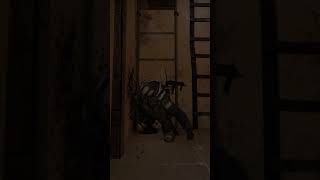 Меня убил читер? | CSGO