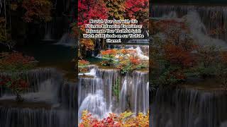 Nourish Your Soul \u0026 Heart with this Ultimate Relaxation Experience; Rejuvenate Your Youthful Spirit