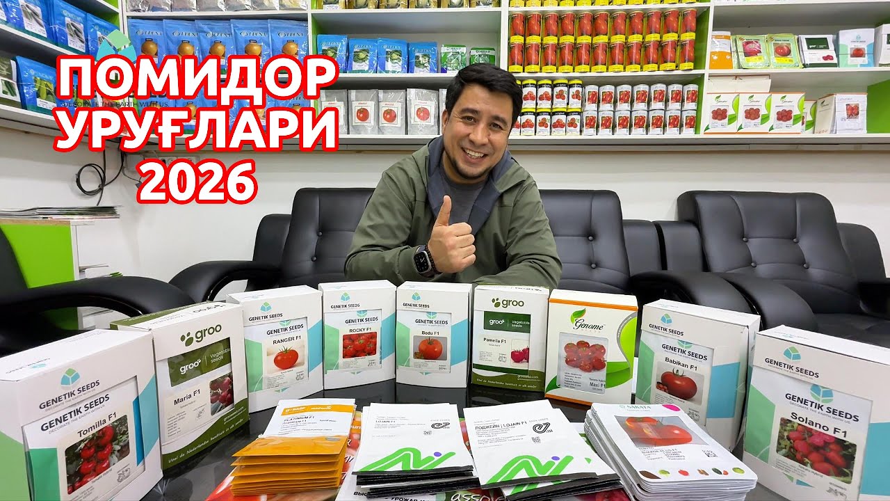 Помидор уруғларимиз билан танишамиз 2026 🍅 +998 99 888-97-77