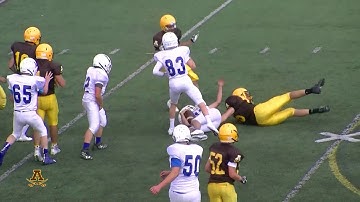 2017 Rochester Adams Freshmen Commercial