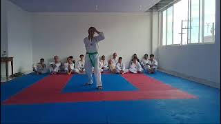 Poomsae 4 Taekwondo- (Taegeuk Sa Jang)