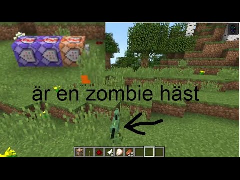 Video: Minecraft Kommer Att Lappa Papegojor För Att Skydda Verkliga Husdjur