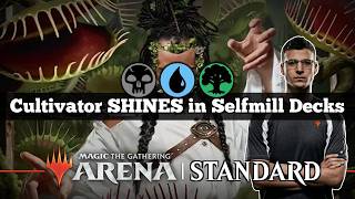 Cultivator SHINES in Selfmill Decks | FRA Sultai Midrange | Standard Bo3 | Mythic Rank