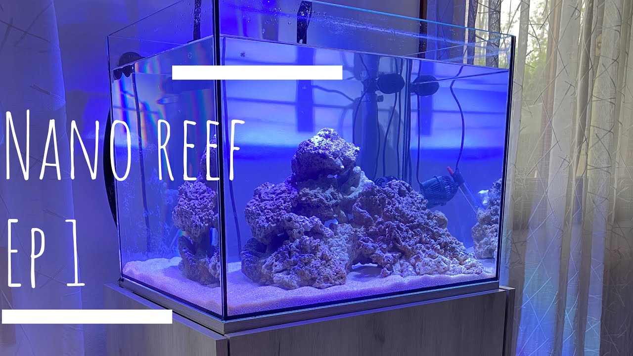 MATURAZIONE ACQUARIO MARINO| il mio nano reef ep. 1. - YouTube