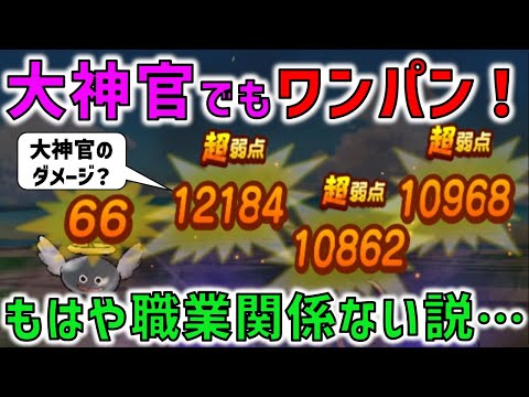 【ドラクエウォーク】大神官でワンパンレベリング！？こうなったら、職業何でもいいんじゃないか説・・・