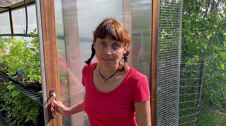 Dream Greenhouse Build - Overview
