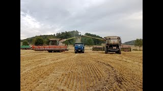 Download Lagu Moje první žně/ Odvoz obilí od kombajnů/ Tatra 815/ pohled zevnitř/ Cab view/ Claas Lexion 760, 770 MP3 Download Lagu Moje první žně/ Odvoz obilí od kombajnů/ Tatra 815/ pohled zevnitř/ Cab view/ Claas Lexion 760, 770 MP3