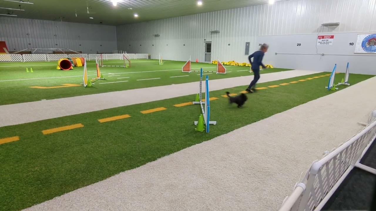 Delilah SS2 60x40 Wk 187