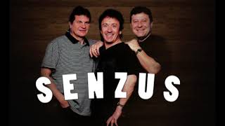 Senzus - Slivkové gule