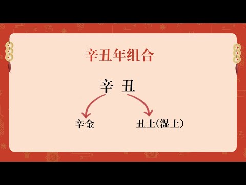 2021辛醜年會是怎樣的一個情形