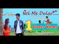 NEL ME DULAR//LATEST SEMI TRADITIONAL FULL VIDEO SONG 2018// RAJU SOREN