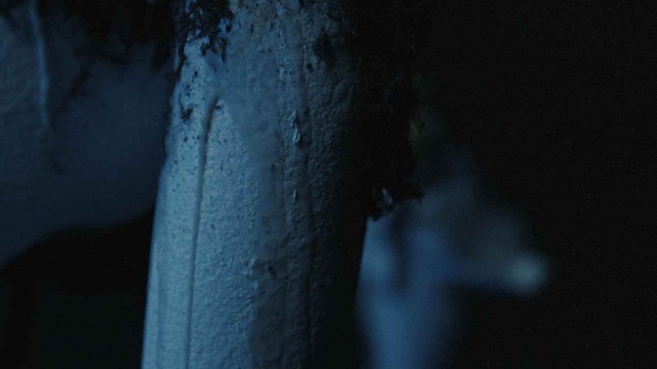 Ivy Lab - Touch & Go