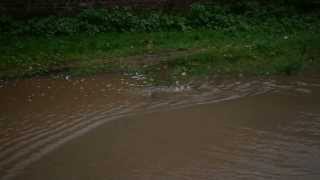 Wateroverlast Geraardsbergsesteenweg 26 Landskouter - 20131017 - 002