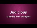 Judicious meaning with examples