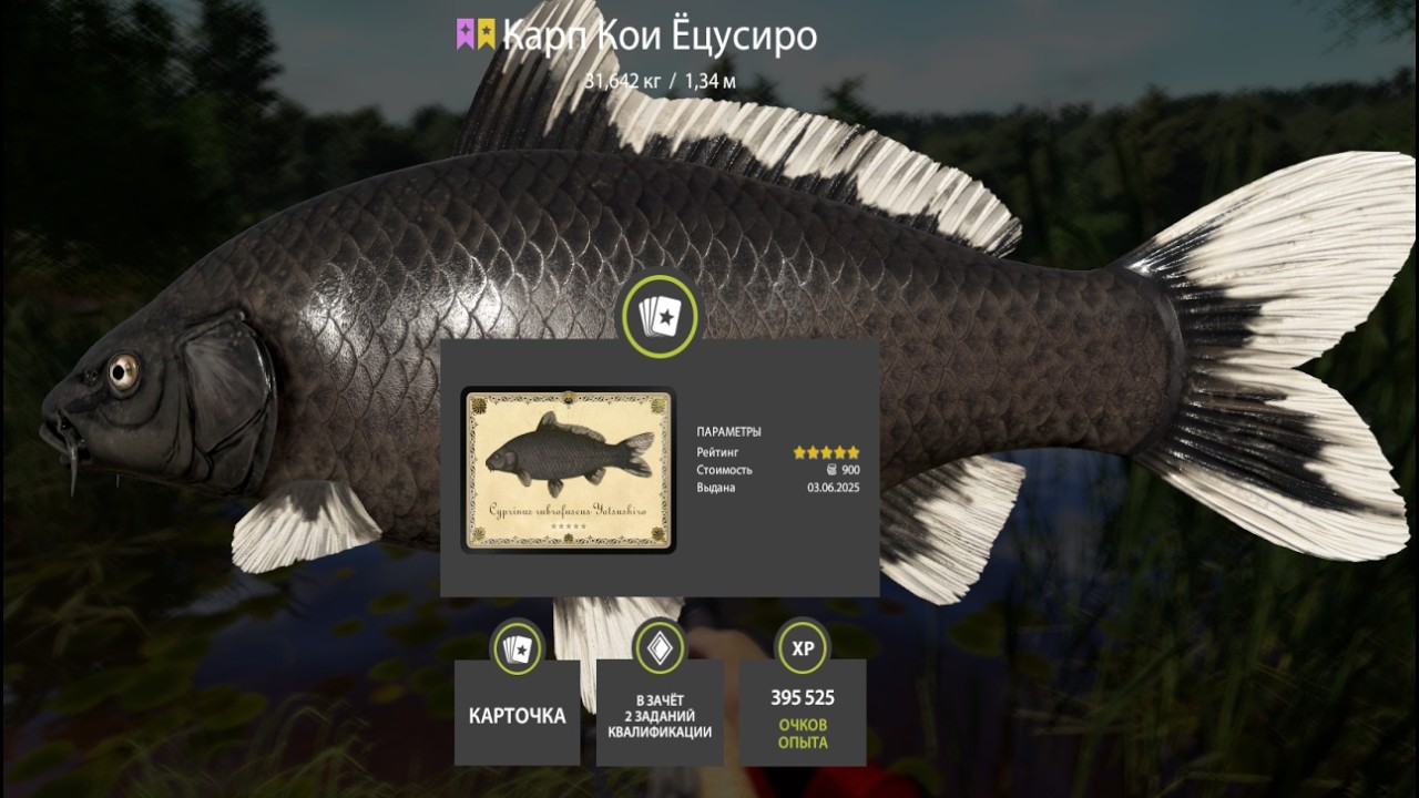 ПРОВЕРКА ФАРМА СЕРЕБРА и КОИ на МЕДНОМ и ЗА ОСЕТРАМИ на НИЖНЮЮ ТУНГУСКУ РУССКАЯ РЫБАЛКА 4 РР4