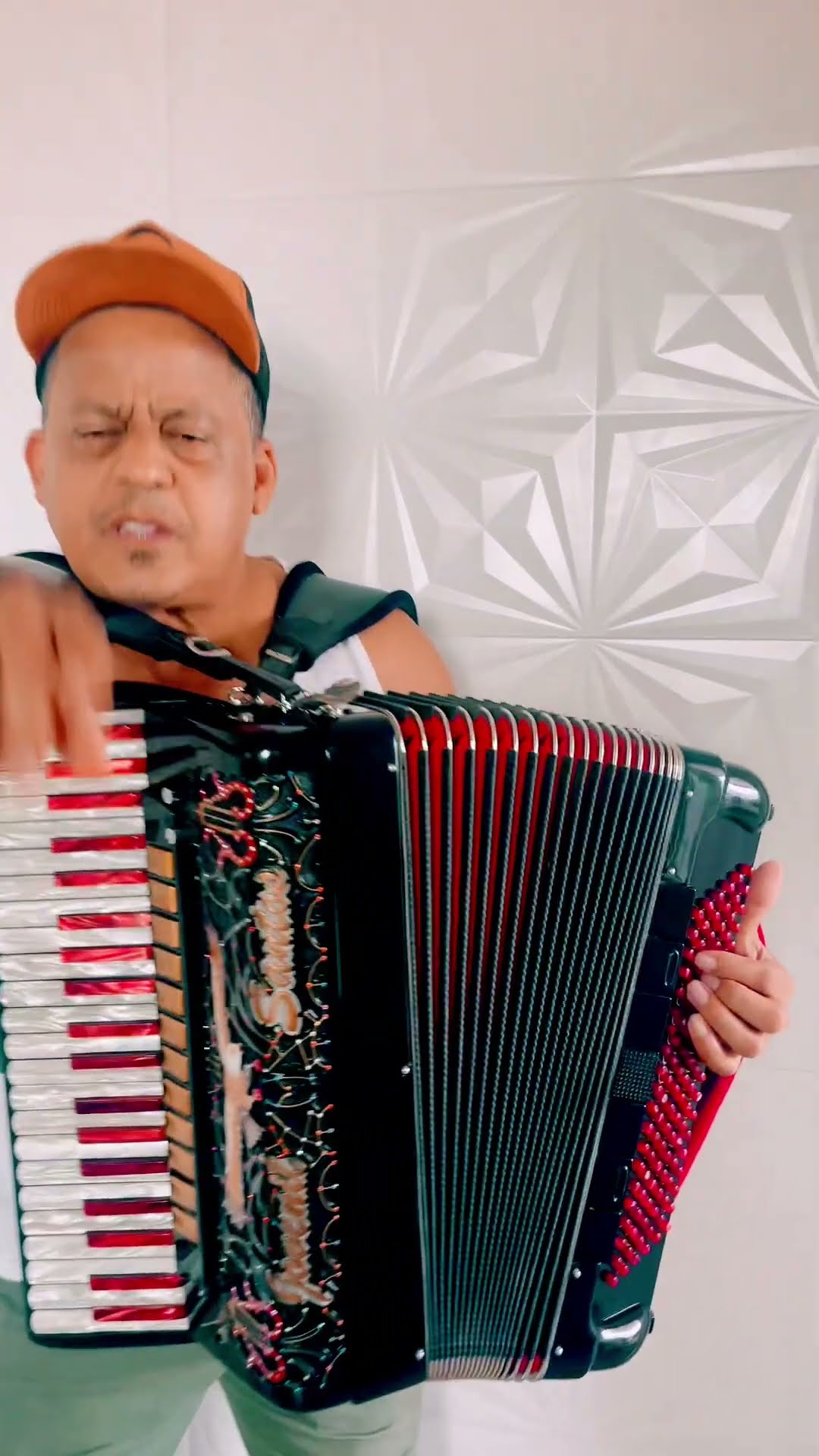 https://rifei.com.br/acordeon-melody-president
