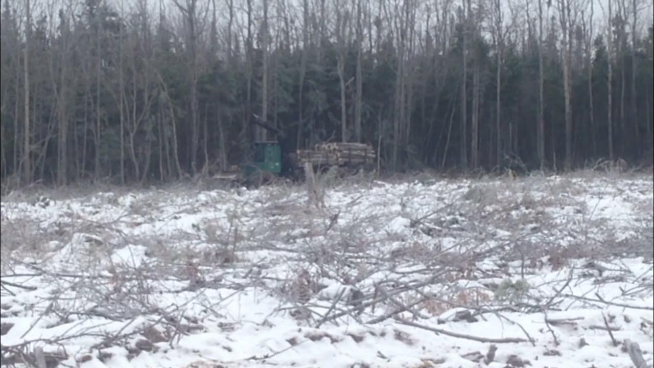 Timberjack 230A winter forwarding YouTube