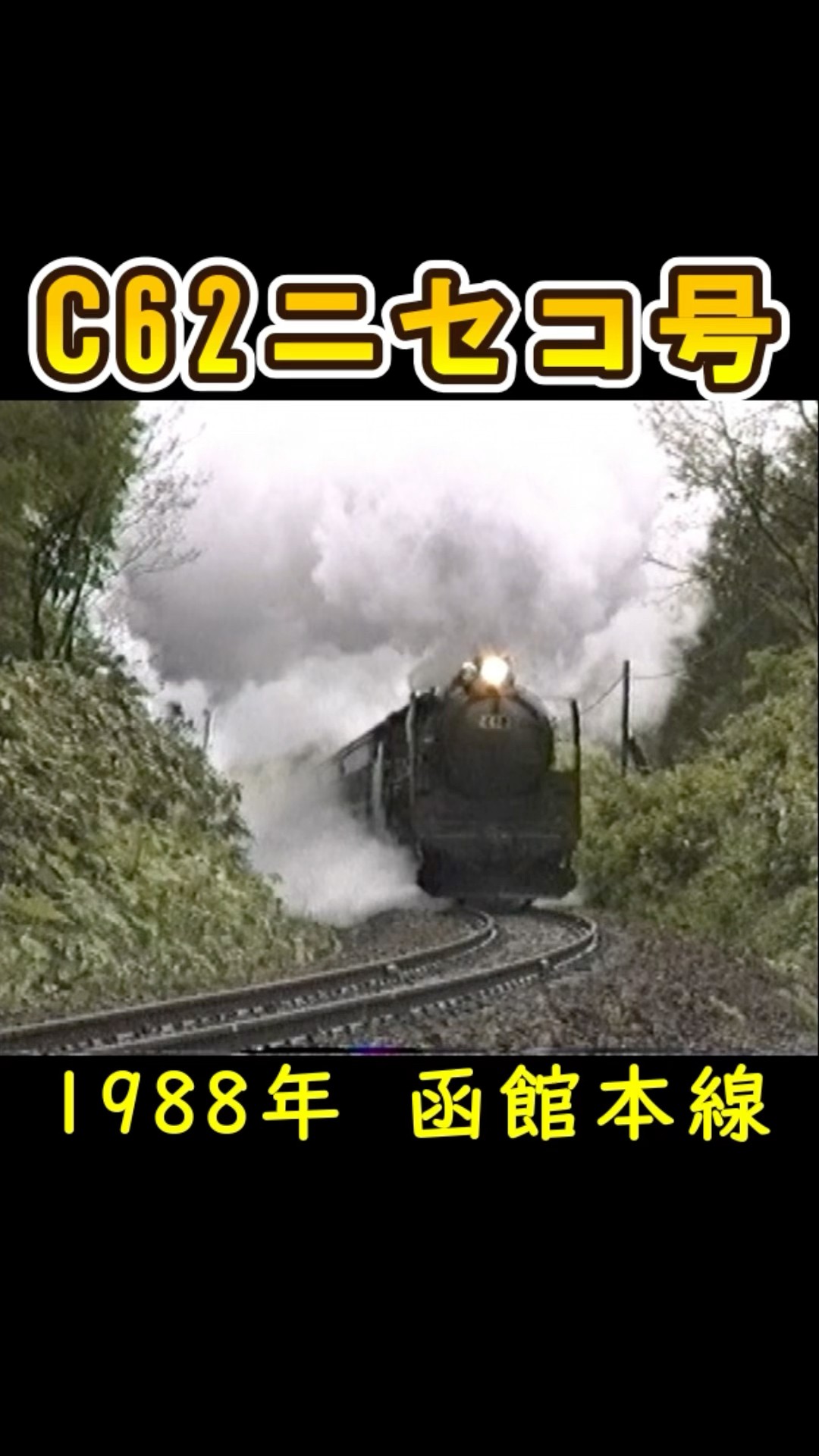 想い出の「SLニセコ号」😌#c62 #steamlocomotive #ニセコ #函館本線