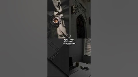 قران كريم تلاوة هادئة😍😍قرآن كريم بصوت جميل♥♥