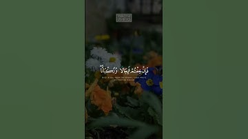 المنشاوي ، سورة البقرة برواية ورش عن نافع 🌹#اكسبلور_فولو #islam #قران #اسلام #fyp