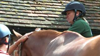 Katie Jerram Show Prep Plaiting