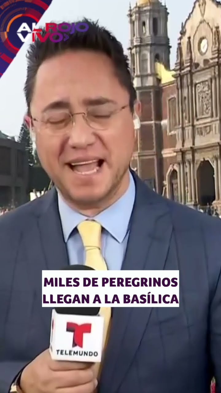 Millones de peregrinos visitan la Basílica de Guadalupe | ARV