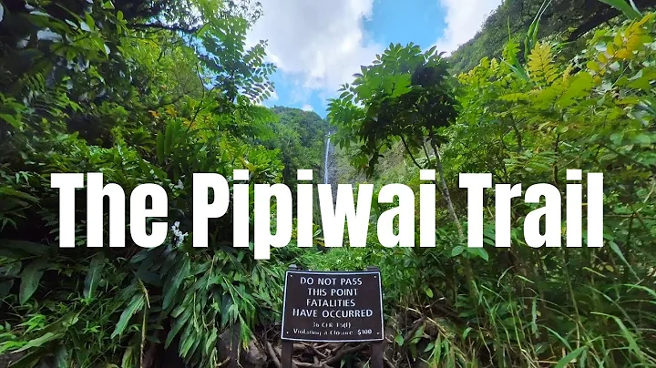 The Best Hiking Trail in Maui