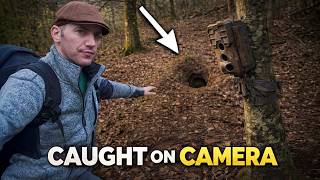 I Left a Camera at a Badger Set… Then This Happened
