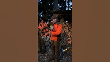 Thumbnail of 🎵 Hunting horn music: more than just a sound