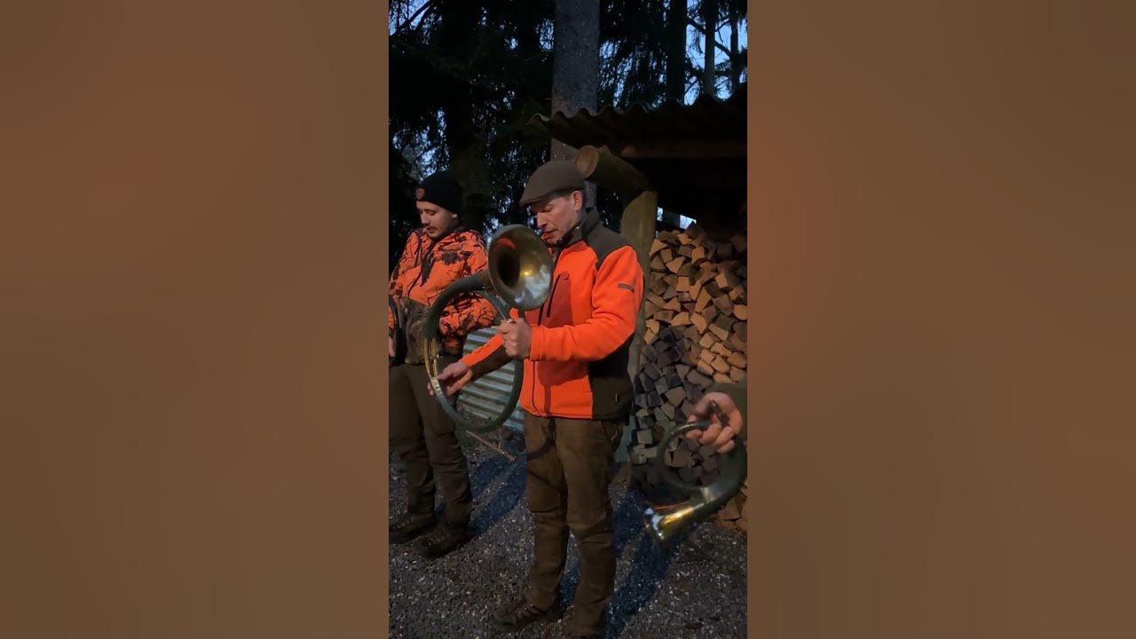 🎵 Hunting horn music: more than just a sound