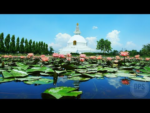 Lumbini Travel Vlog || Adventure Nepal ||