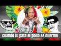 CUANDO TU PATA EL POLLO ( TAPIR 590 ) SE QUEDA DORMIDO - @ELBLACKIS