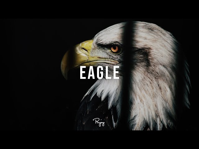 Eagle - Storytelling Rap Beat | New Hip Hop Instrumental Music 2020 | StaminaBeats #Instrumentals class=